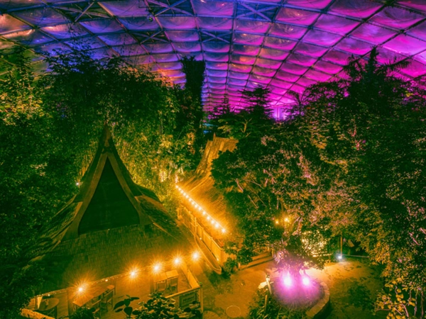 Magisches Tropenleuchten im Zoo Leipzig, Foto: Zoo Leipzig