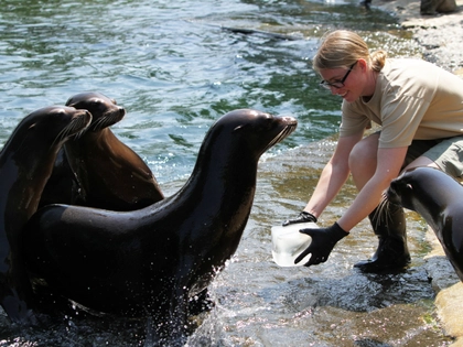 Tierischer Abenteuer-Sommer im Zoo Leipzig beginnt