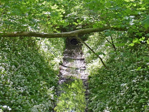 Bauerngraben, Foto: Karolin Tischer