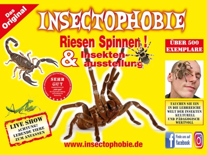 Insectophobie Riesen Spinnen und Insekten Ausstellung zu Gast in Leipzig