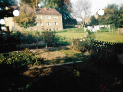 Neue Ausstellung BIOTOP DER UNFREIWILLIGEN FREIWILLIGKEIT in der Cinémathèque Leipzig