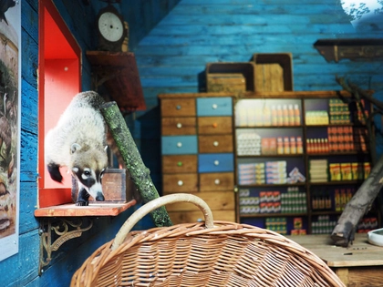 7-Seen-Wanderung mit umfangreichen Tourangebot