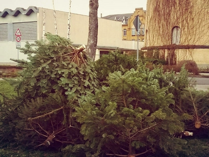 Kostenlose Ablagestellen für Weihnachtsbäume in Leipzig