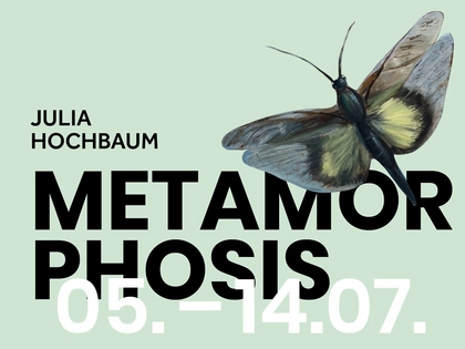 Naturkundemuseum Leipzig wird zur Wunderkammer