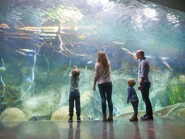 Familie vor der Überkopf-Panoramascheibe im sanierten Aquarium, Foto: Zoo Leipzig