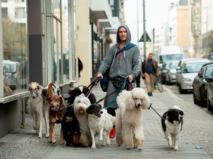 Premiere der neuen Komödie WUFF in den Passage Kinos Leipzig