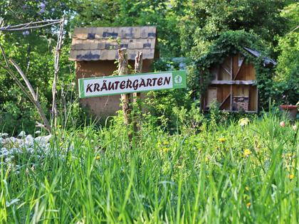Ökolöwen feiern 30 Jahre Stadtgarten Connewitz