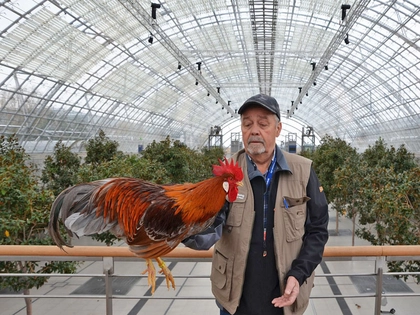 127. LIPSIA-Bundesschau und 72. Deutsche Rassetaubenschau auf der Leipziger Messe