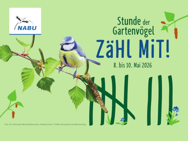 Grafik: NABU / C. Moning / H. Eckert / NABU-naturgucker