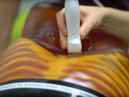 Erster sächsischer Hebammen-Studiengang startet 2021 an der Medizinischen Fakultät der Universität Leipzig Erster sächsischer Hebammen-Studiengang startet 2021 an der Medizinischen Fakultät der Universität Leipzig