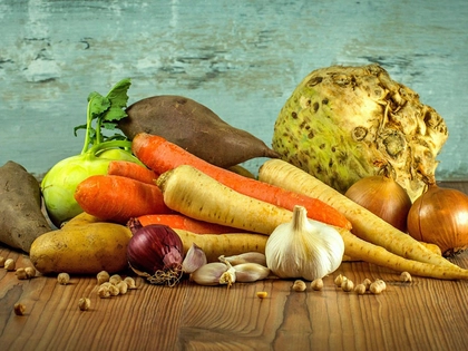 Leipziger Ernährungsstrategie startet mit Beteiligungsprozess