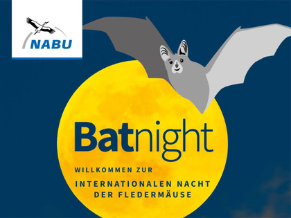 NABU Leipzig lädt zur "Batnight" ein