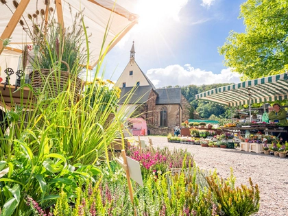 Die beliebtesten Bauernmärkte und Wochenmärkte in der Region Leipzig