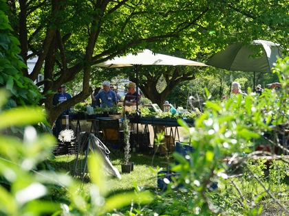 Frühjahrs-Pflanzenmarkt im Botanischen Garten Leipzig