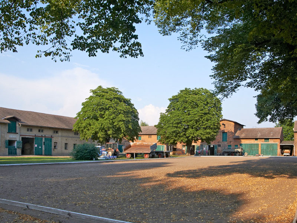 Pferdehof Abtnaundorf, Foto: Reit- und Fahrverein „Herodot“ Leipzig e.V. 