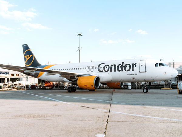 Foto: Condor