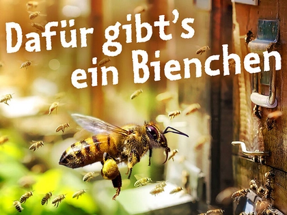Den Zoo Leipzig während der Schließung unterstützen Den Zoo Leipzig während der Schließung unterstützen