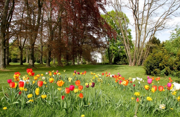 Kees'scher Park im Frühling