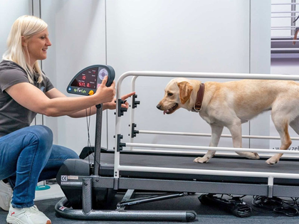 Leipziger Tierärztekongress 2024