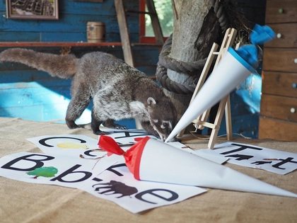 Kostenfreier Eintritt im Zoo Leipzig für Schulanfänger am Wochenende Kostenfreier Eintritt im Zoo Leipzig für Schulanfänger am Wochenende