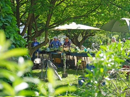Pflanz dich wieder glücklich! Am Wochenende ist Frühjahrs-Pflanzenmarkt im Botanischen Garten Leipzig Pflanz dich wieder glücklich! Am Wochenende ist Frühjahrs-Pflanzenmarkt im Botanischen Garten Leipzig
