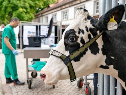 11. Leipziger Tierärztekongress: Leipzig wird zum Mekka für Veterinärmediziner 11. Leipziger Tierärztekongress: Leipzig wird zum Mekka für Veterinärmediziner
