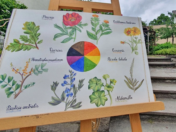 Pflanzen und Farbenwelt – im Garten des Schillerhauses, Foto: Stadtgeschichtliches Museum Leipzig