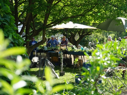 Herbstpflanzenmarkt im Botanischen Garten Leipzig Herbstpflanzenmarkt im Botanischen Garten Leipzig