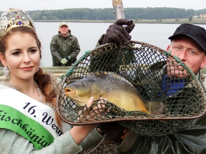 Region Leipzig: Horstseefischen 2025