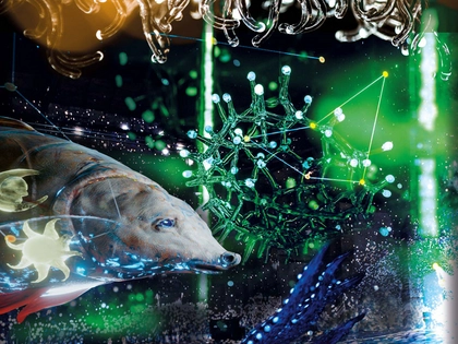 Öffentliche Ringvorlesung im Studium generale der HTWK Leipzig im Sommersemester mit prominenten Gästen