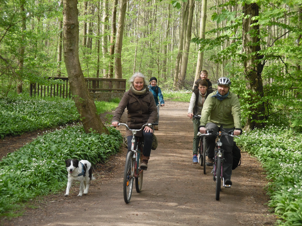 Radeln im Auwald