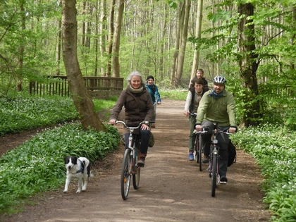 Radeln und Raten im Auwald Radeln und Raten im Auwald