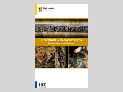 Neue Broschüre zu Fledermäusen in Leipzig erschienen