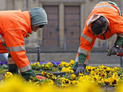 Bepflanzung von Frühjahrsblühern in Leipzig