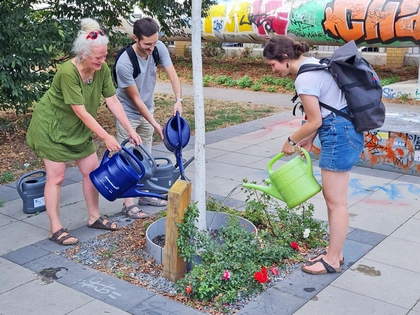 Wasser für Stadtbäume: Der BUND Leipzig ruft zum Gießen auf