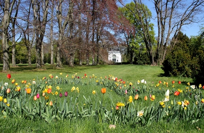 3. Bärenherz Sommernacht