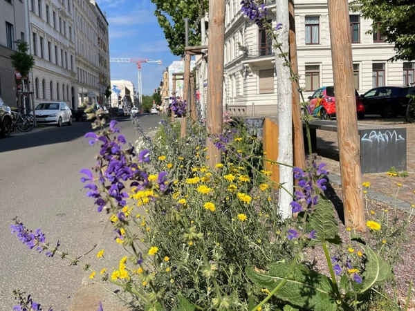 Preis für Leipzigs schönstes Baumbeet geht in die Shakespearestraße, Foto: Ökolöwe e.V.