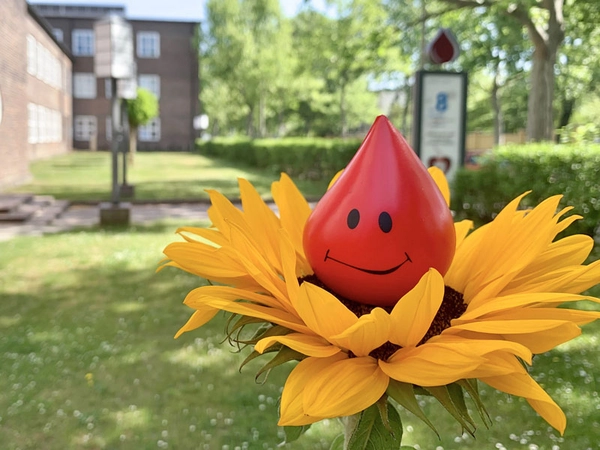 Jetzt Blut spenden und gewinnen: Blutspendewillige, die während der Sommerferien bei der UKL-Blutbank eine Blutspende leisten, haben die Chance auf attraktive Gewinne. Foto: Anja Grießer / UKL