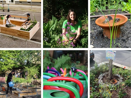 Urban Gardening in Zeiten der Klimakrise: Vortrag und Gespräch im Zeitgeschichtlichen Forum Leipzig Urban Gardening in Zeiten der Klimakrise: Vortrag und Gespräch im Zeitgeschichtlichen Forum Leipzig