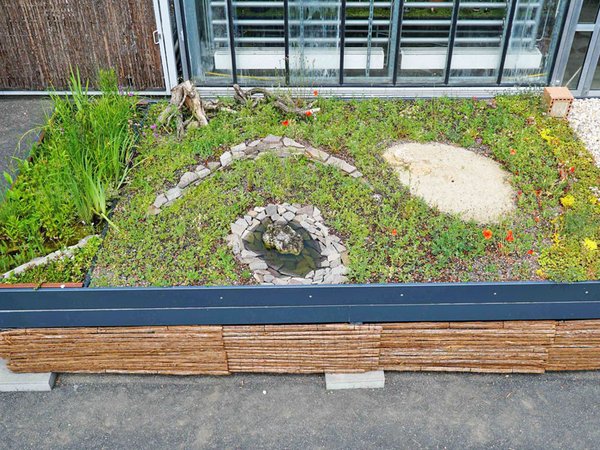Die neue Station auf dem Außengelände des Botanischen Gartens Leipzig zeigt, wie ein Gründach gestaltet werden kann. Foto: Botanischer Garten / Ulrike Pulanco