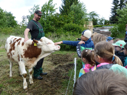 Ökolöwe Leipzig schaut Biobauern über die Schulter