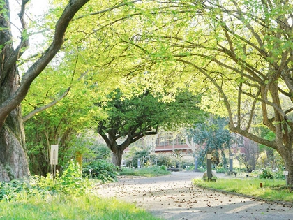 Start der Schreibwerkstatt für Kinder im Botanischen Garten Leipzig