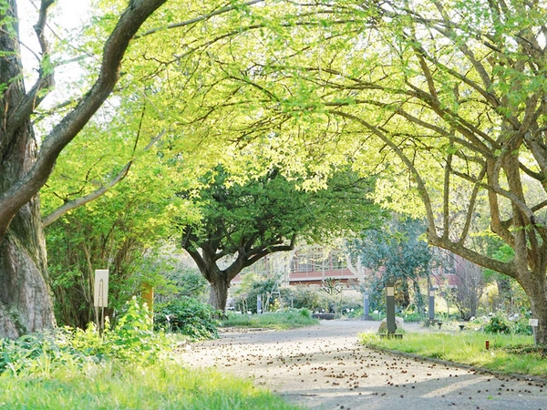 Freigelände des Botanischen Gartens, Foto: Botanischer Garten Leipzig
