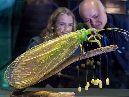 Ausstellungserweiterung des Panoramas: CAROLAS GARTEN – Eine Rückkehr ins Paradies