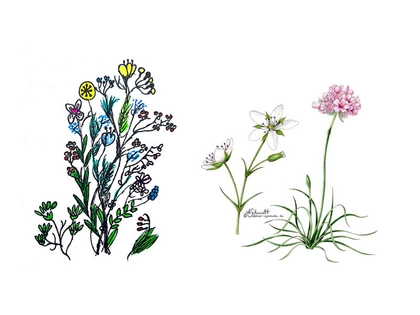 Illustrationswerkstatt für Kinder und Jugendliche im Botanischen Garten Leipzig