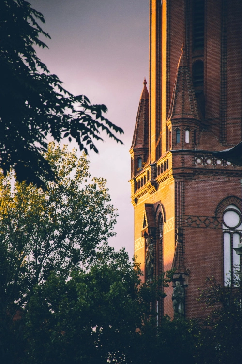 Foto: pexels.com Foto: pexels.com