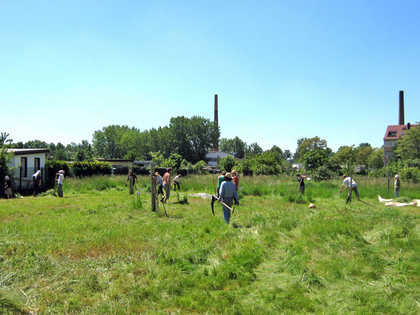 Ökolöwe mäht Streuobstwiese "Am Weinberg" in Leutzsch