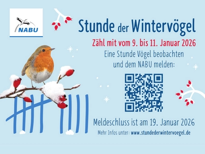 Vögel zählen im Schnee: Am Wochenende findet deutschlandweit die „Stunde der Wintervögel“ statt