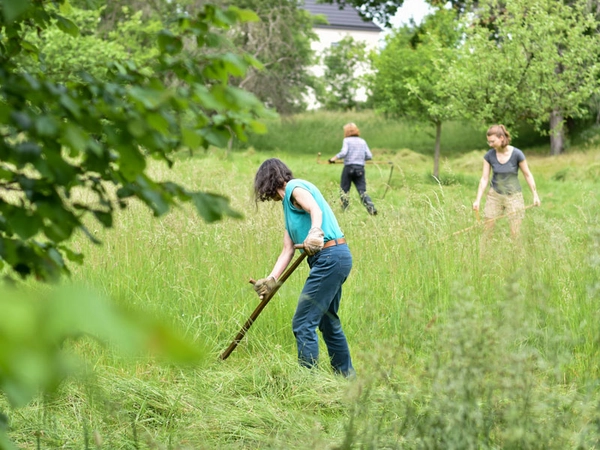 Sensenworkshop auf der Streuobstwiese in Leipzig-Wahren, Foto: Annabell Engel