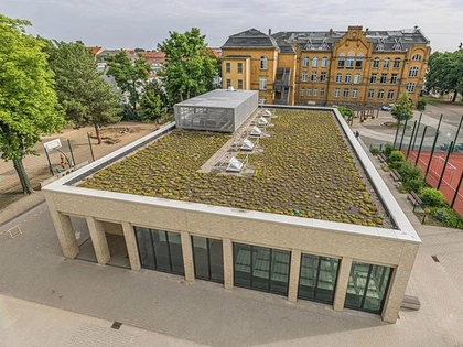 Leipzig beschließt Gründach-Standards für kommunale Gebäude